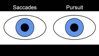 RS Supranuclear Ocular Motor Pathways Part 1  Horizontal Saccades [upl. by Assiren998]