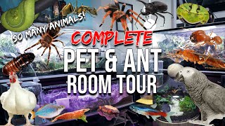 FULL ANT amp PET TOUR  Millions of Ants Tarantulas Reptiles Amphibians Birds Fish Terrariums [upl. by Anala]