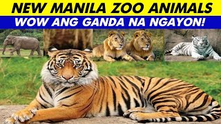 NEW MANILA ZOO ANIMALS [upl. by Iden]