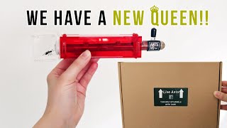 Unboxing A Harvester Ant Queen amp Kit  ANTS HQ STARTER KIT [upl. by Jareen]