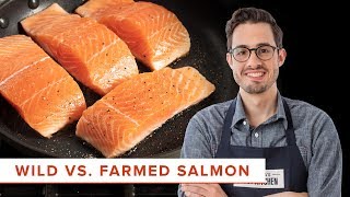 The Scientific Difference Between Cooking Wild and Farmed Salmon [upl. by Allerym984]