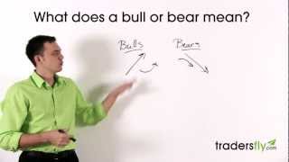 What Does a Bull and Bear Mean in the Stock Market [upl. by Strauss]