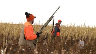 Aberdeen Pheasant Hunt  Prairie Sportsman [upl. by Ettesoj]