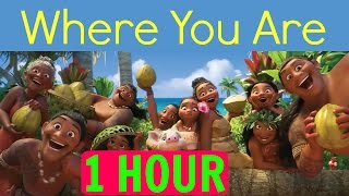 1 HOURLYRICS Where You Are Moana soundtrack Loop [upl. by Susej677]