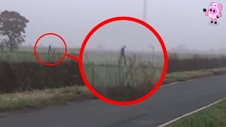 8 Mythological Creatures Caught on Camera [upl. by Miran]