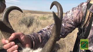 How to Hunt Pronghorn Hunting Pronghorn [upl. by Anailil]