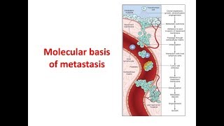 Metastasis Molecular Basis [upl. by Mohl]