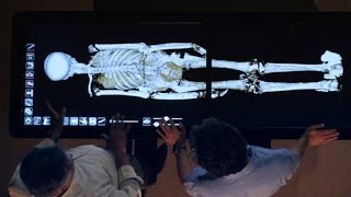 Revealed How King Tut Died [upl. by Eicyac]