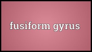 Fusiform gyrus Meaning [upl. by Kung]