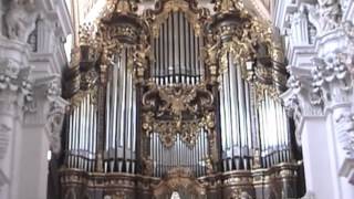 The Largest Cathedral Organ [upl. by Eignav543]