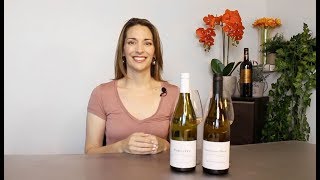 Sancerre vs Sauvignon Blanc [upl. by Dyun69]