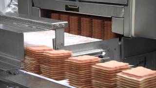 How Ground Beef and Hamburgers are Made [upl. by Corrinne982]