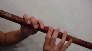 Basic introduction of the Dizi Chinese Bamboo Flute [upl. by Bennink]