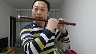 E key dizi flute Chinese bamboo flute practice Dan Tang [upl. by Zerk]