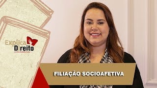 Explica Direito Filiação Socioafetiva  2019 [upl. by Bald]