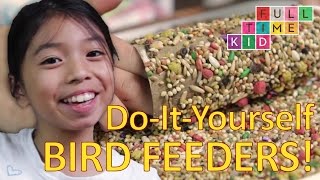 Easy DIY Bird Feeders  FullTime Kid  PBS Parents [upl. by Nonnaehr]