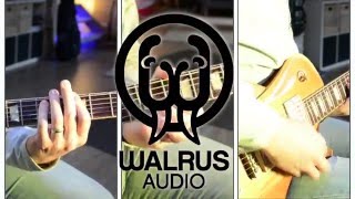 Walrus Audio IRON HORSE Dist  produced Track ONLY [upl. by Attikin435]