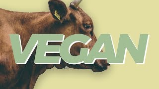 Heres why we need to rethink veganism [upl. by Spoor514]