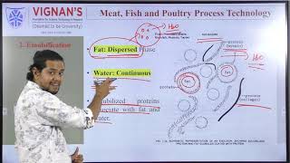 Basic Meat Processing Procedures [upl. by Aleras]