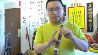 Western Flute vs Chinese Flute Dizi and Xiao [upl. by Fulbert818]