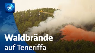 Waldbrände auf Teneriffa Feuer breiten sich weiter aus [upl. by Esli]