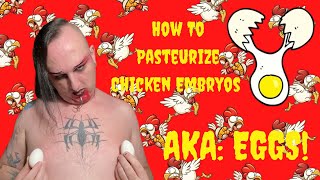 How To Pasteurize Chicken Embryos AKA EGGS [upl. by Alfonso]