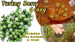 Turkey Berry Gravy  Sundakkai Vatha Kuzhambu Hindi Recipe  Best Medicinal Value Sabzi [upl. by Koblick]