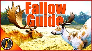 Fallow Deer Guide  Times Weapons Locations amp More [upl. by Nivrae]