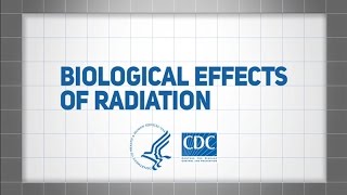 Biological Effects of Radiation [upl. by Aidua]