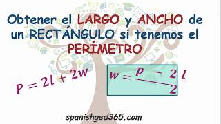 Cómo obtener el largo y ancho de un rectángulo [upl. by Amrak]