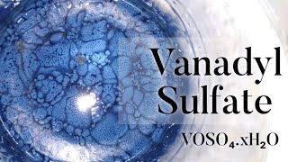 Vanadyl Sulfate  Preparation [upl. by Nelyahs]