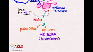 NRP Overview and Review by ACLS Certification Institute [upl. by Bibah]