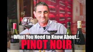 Everything You Need to Know About Pinot Noir [upl. by Alejna]