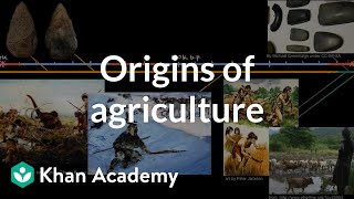 Origins of agriculture  World History  Khan Academy [upl. by Annaohj]