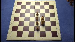 Schach lernen in 30 Minuten [upl. by Enyehc]