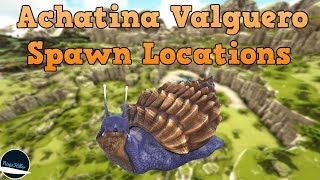 Where to find Achatinas on Valguero Ark Survival Evolved [upl. by Koser]