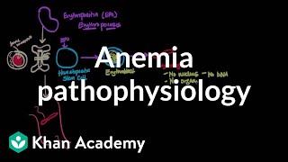 Aplastic anemia  an Osmosis Preview [upl. by Okihsoy]