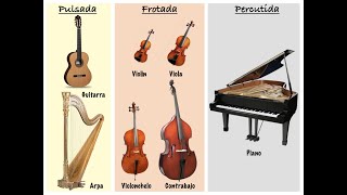 Los instrumentos de cuerda [upl. by Eniamret970]