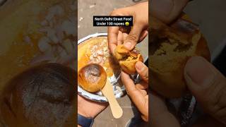 5 Mukherjee Nagar Street Food under 100 rupees 🤑🔥 [upl. by Luht821]