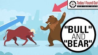 Why are Bull and Bear Markets Called That [upl. by Anaujat]