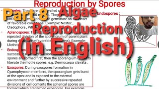 Algae Lecture 8  Reproduction in Algae [upl. by Nomihs]