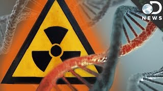 How Radiation Changes Your DNA [upl. by Eisteb913]