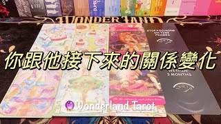 ❤️ 愛情塔羅占卜🔮｜你跟他接下來的關係變化？不限關係｜Tarot reading Pick a card Timeless💫 【Wonderland Tarot】 [upl. by Humo210]