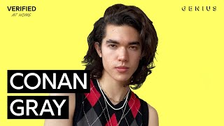 Conan Gray quotHeatherquot Official Lyrics amp Meaning  Verified [upl. by Devon]