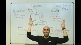 Hypoxemia  A Practical Diagnostic Approach [upl. by Mirabella13]