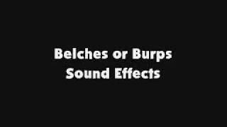 Belches or Burps SFX [upl. by Euqinad523]