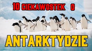 10 Ciekawostek o ANTARKTYDZIE  Antarktyda  Niezwykłe Fakty [upl. by Woods]