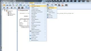 Mean Median Mode  SPSS [upl. by Ciro]