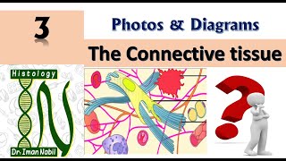 Practical Connective tissueDiagrams and photos [upl. by Baker]