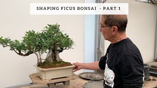 Shaping Ficus Bonsai  Part 1 [upl. by Auqenahs]